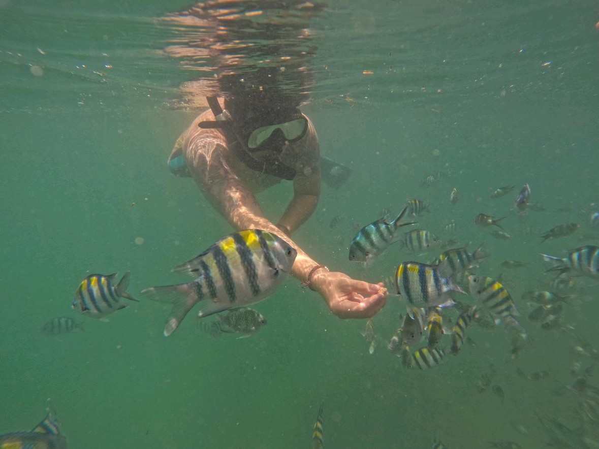 Package Snorkeling + Jet Ski