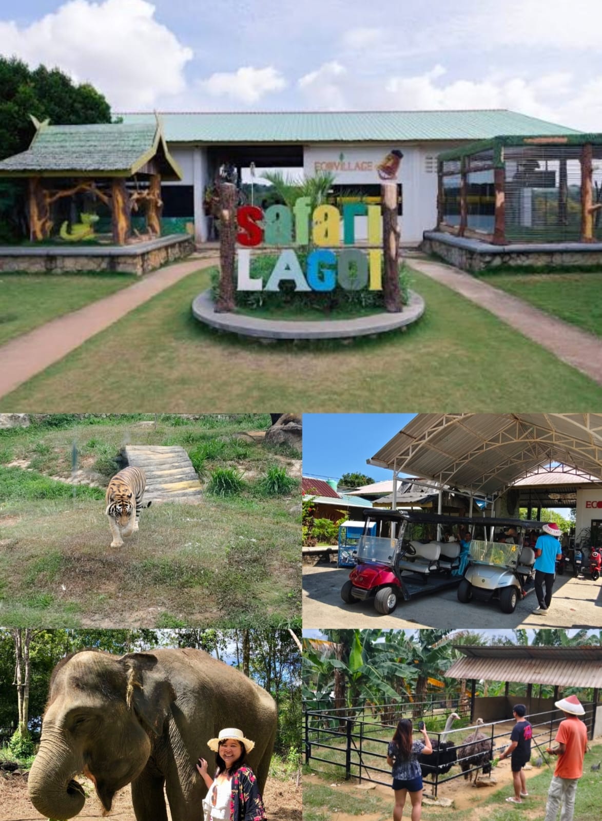 Safari Zoo on Bintan Package